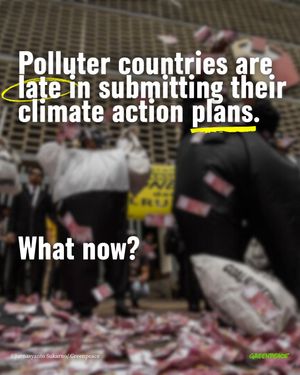 Image post by @greenpeace on Instagram