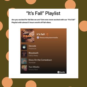 Video post by @thesoundsystemmedia on TikTok