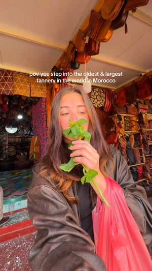 Video post by @josiestoffan on TikTok