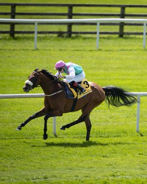 Image post by @juddmonte on Instagram
