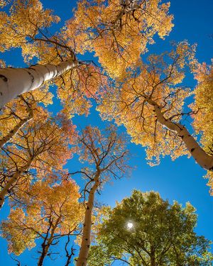 Image post by @vailmtn on Instagram