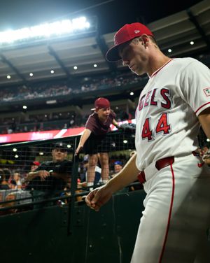 Image post by @angels on Instagram