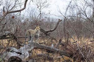 Image post by @guybrunskillphoto on Instagram