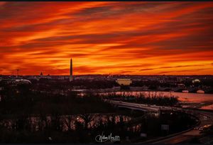 Image post by @popville on Instagram