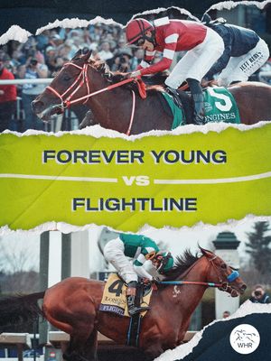 Image post by @worldhorseracing on Instagram