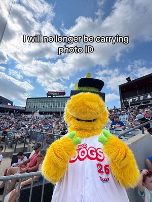 Video post by @thechicagodogs on TikTok