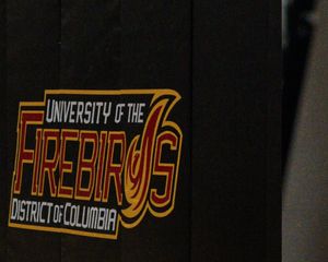 Image post by @dreaamvision_ on Instagram