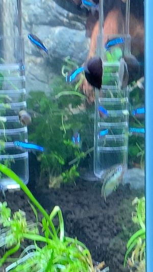 Video post by @aqualupi on Instagram