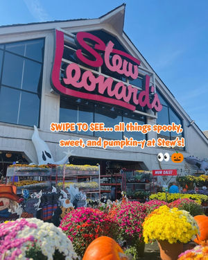 Image post by @stewleonards on Instagram