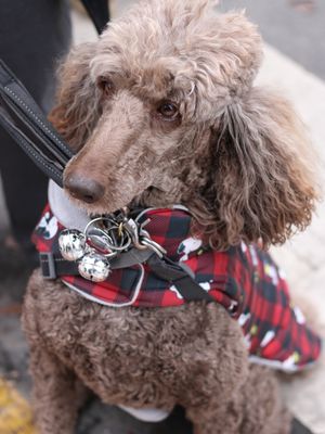 Image post by @scleggphotography on Instagram