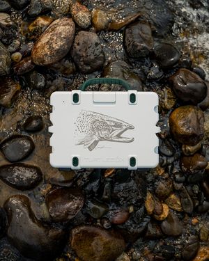 Image post by @turtleboxaudio on Instagram