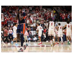 Image post by @liamdavisphotos on Instagram