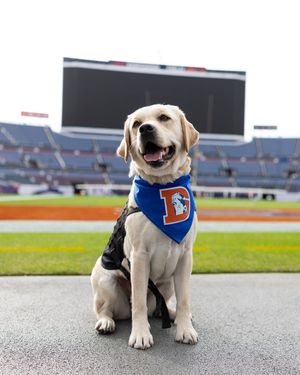 Image post by @broncos on Instagram