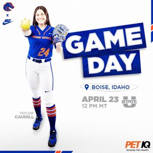 Image post by @boisestatesoftball on Instagram