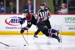 Video post by @roadrunners_ahl on TikTok