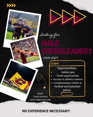 Image post by @cmucheerleading on Instagram
