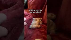 Video post by @Casper on YouTube