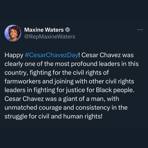 Image post by @repmaxinewaters on Instagram