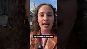 Video post by @cnn on YouTube
