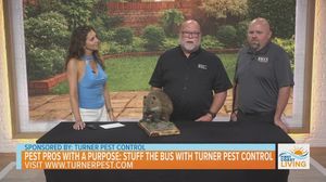 Image post by @TurnerPestControl on Facebook