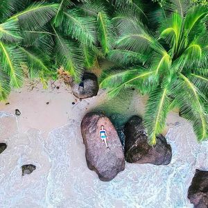 Image post by @HiltonHotels on Twitter