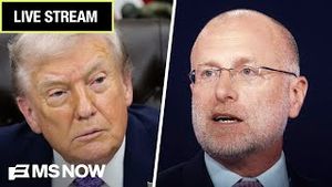 Video post by @msnbc on YouTube