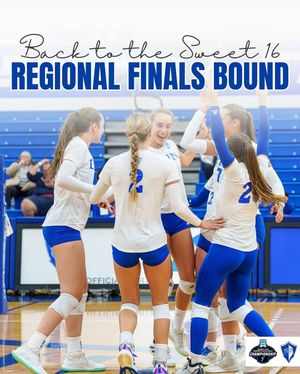 Image post by @lynnvolleyball on Instagram