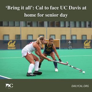 Image post by @dailycalsports on Instagram