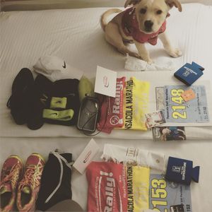 Image post by @krishdhokia on Instagram