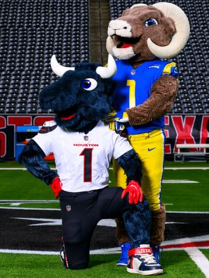 Image post by @texanstoro1 on Instagram