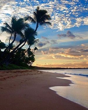 Image post by @passthewipesandvino on Instagram