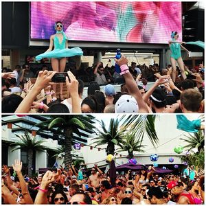 Image post by @marqueelv on Instagram