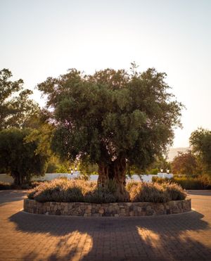 Image post by @ojaivalleyinn on Instagram