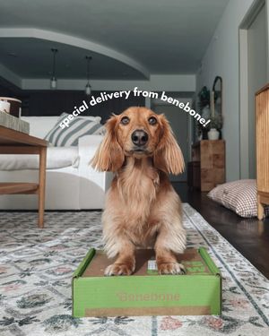 Image post by @mybenebone on Instagram