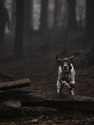 Image post by @jpotterphoto on Instagram