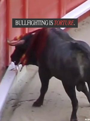 Image post by @peta on Instagram