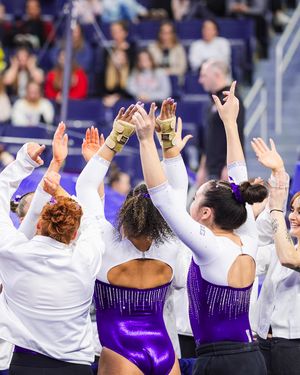 Image post by @uwgymnastics on Instagram