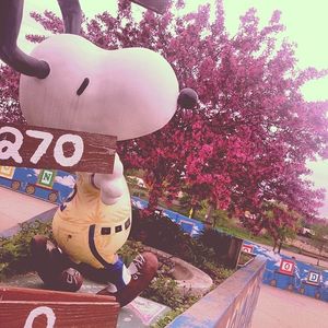 Image post by @stpaulsaints on Facebook
