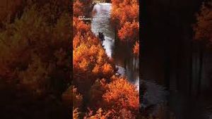 Video post by @dji on YouTube