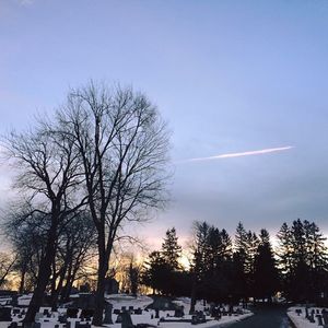 Image post by @themainemag on Instagram
