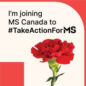 Image post by @liberalpartyns on Instagram