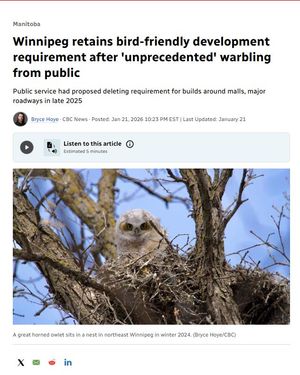 Image post by @featherfriendly on Instagram