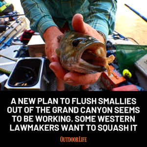 Image post by @outdoor_life on Instagram