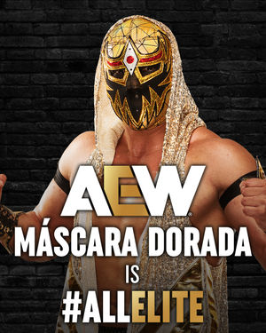 Image post by @aew on Instagram