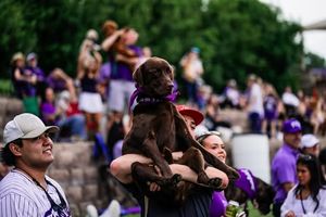 Image post by @tcubaseball on Instagram