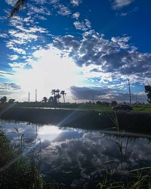 Image post by @faragelo22 on Instagram