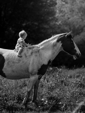 Image post by @cowgirlmagazine on Instagram
