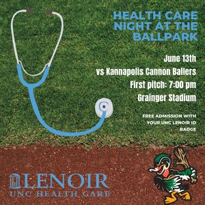 Image post by @gowoodducks on Instagram