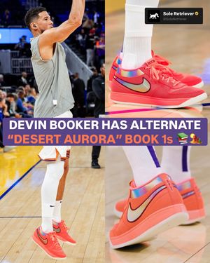 Image post by @soleretriever on Instagram