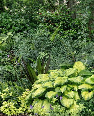 Image post by @ahs_gardening on Instagram